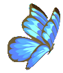 Butterfly57.png