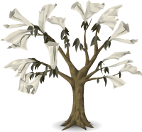 PaperTree600.png