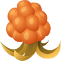 Cloudberry142.png