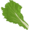 Green Leaf