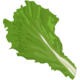 Green Leaf