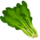 Spinach230.png