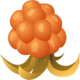 Cloudberry