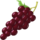 BunchofGrapes126.png
